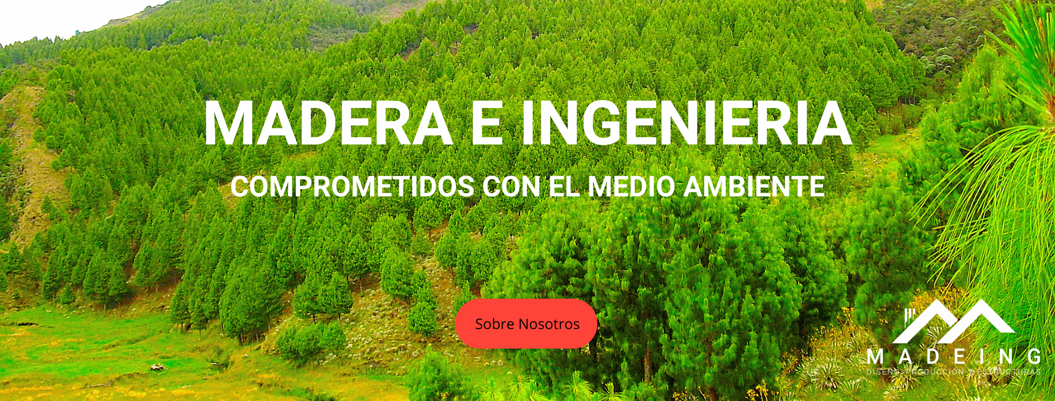 Imagen de la diapositiva